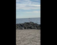 Guy hoodie stand over rocks beach drone