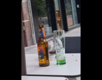 Pigeon eat nuts in bowl on table