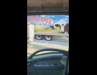 Dairy delivery truck went over cement barricade