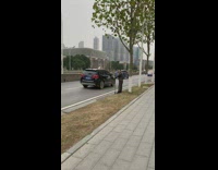 Guy with pet turtle tied to walking stick 