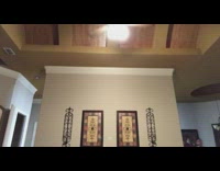 Panic in house bug cockroach flying family