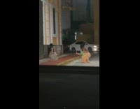 Shirtless woman hat zebra print skirt alley