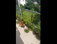 Guy on rooftop film rain while sunny