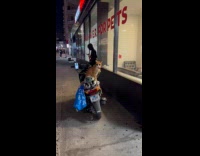 Cat with bling bling chilling on motorcycle