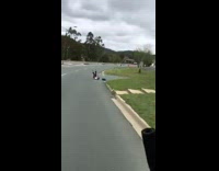 Guy on scooter falls off back off car