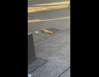 Collab winy - Fire comes out of grate in street