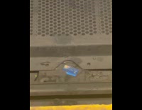 Submitter shows credit card on train tracks