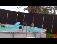 NSFW Guy in jersey nosedives into pool and cuts head, starts bleeding 