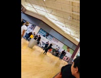 Black dog walk with two legs inside mall