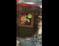 Collab DailyDoseOfInternet - Polarized sunglasses show colors of bird painting