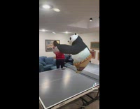 Kung fu panda filter fighting guys in room