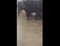 Cat finds and eats treats tile floor