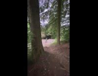Guy ride bike on mountain trail