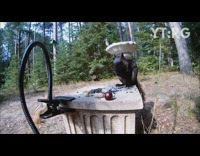 Black squirrel chases brown chipmunk away 