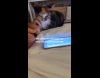 Girl use cat to send break up text