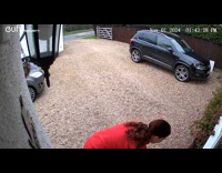 Dog having zoomies excited to see post woman 