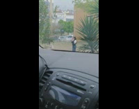 White dress girl car dashboard trees