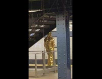 Person in gold glitter sparkle suit subway
