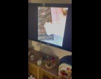 Pet dog watches itself featured on a YouTube Video