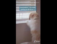 Girl sings Hit me baby parody song