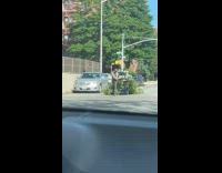 Man pull large tree on shopping cart