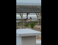 Two women tiktok dance video beach rest house