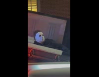 Man Lays on Coffin as he Smokes Tobacco