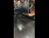 Rat runs across train orange seats