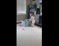 Cat inside basket hits baby girl