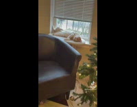 Collab BitchMP - Cat sleeping after destroying tree ornaments 