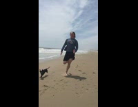 Black dachshund dog runs beach sand guy 