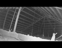 House rat climbed and crawled on the attic security camera 