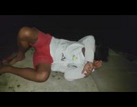 Dog humps boy sleeping on bed