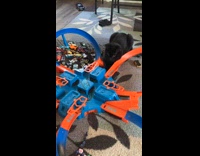 Cat catches car plays hot wheels track