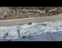 guy cardboard box snow hill street