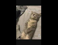 Cat is a 10 but sleeps funny