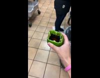 Collab BitchIG2 - Girl drinks dr pepper out of green bell pepper