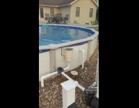 Small white dog swims across the pool and then gets out