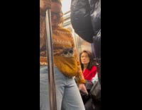 Collab winy - Cat on fanny pack wearing sunglasses