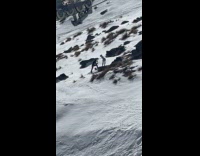 Collab IITW - Woman bend pose on rock snowy mountains