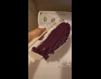 Purple sweater covers link cover in dryer 