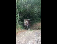 Dirt biker rides on dirt trail and flips over his bike 