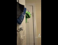 Collab BitchIG2 - Kermit the frog where is the money knife 