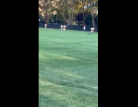 Men wear sumo wrestler costume play american football