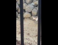 Woman in beach dress superman pose on a rock