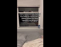 Collab Clips MPUGC - Black cat hides on command 