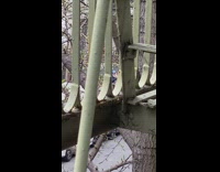 Older guy blue hat rants outside birds