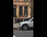 Dog inside apartment sticks head out window 