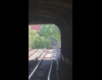 Submitter shows tree fell down on railway