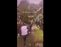 Woman slips and breaks mug when attempting a kick on sidewalk
